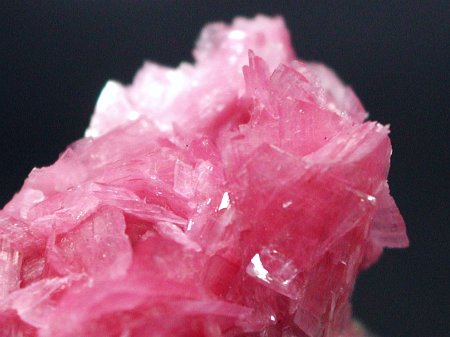 ���[�h�i�C�g���� �΂�P�� (186)