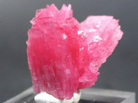 ���[�h�i�C�g(187)