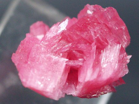 ���[�h�i�C�g(187)