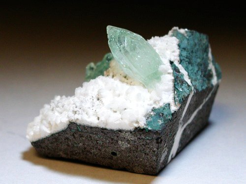 �A�|�t�B���C�g(�����)(188)