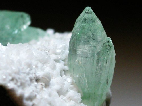 �A�|�t�B���C�g(�����)(188)