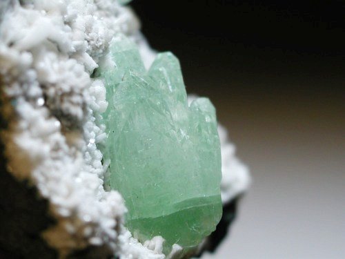 �A�|�t�B���C�g(�����)(188)