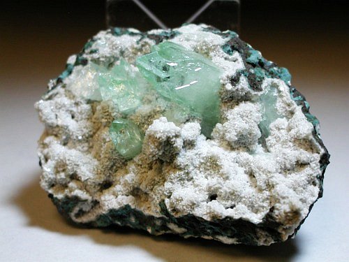 �����-�A�|�t�B���C�g(190)