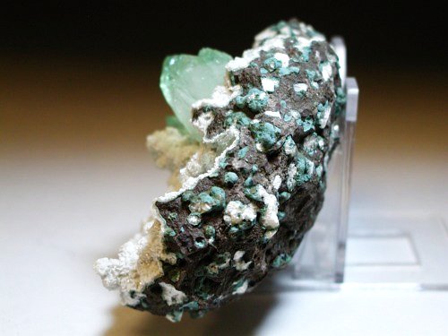 �����-�A�|�t�B���C�g(190)