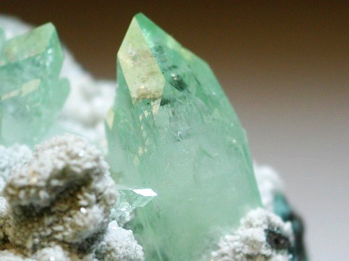 �����-�A�|�t�B���C�g(190)