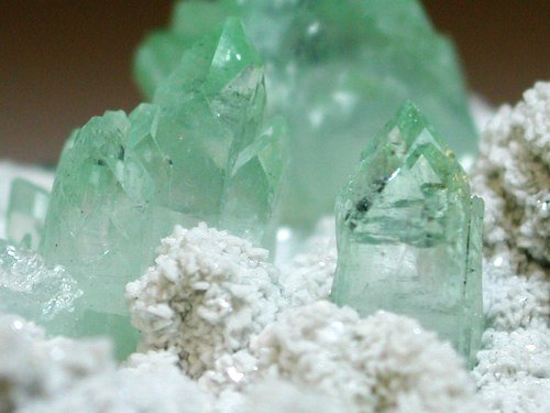 �����-�A�|�t�B���C�g(190)