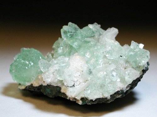 �����-�A�|�t�B���C�g(191)