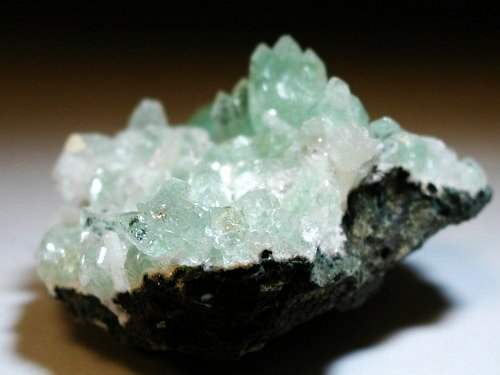 �����-�A�|�t�B���C�g(191)