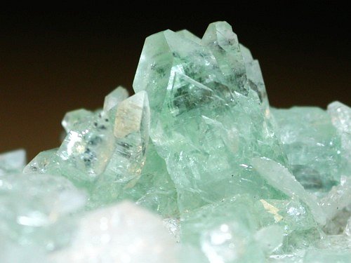 �����-�A�|�t�B���C�g(191)