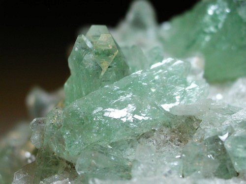 �����-�A�|�t�B���C�g(191)