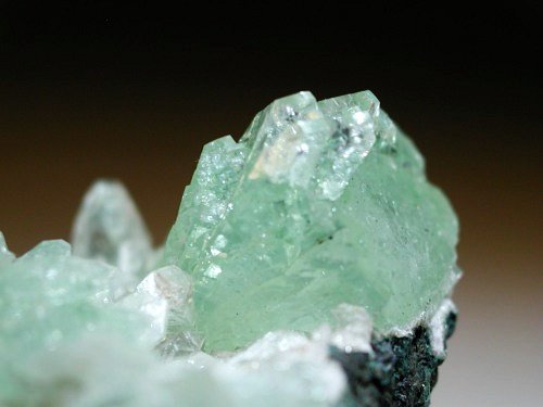 �����-�A�|�t�B���C�g(191)