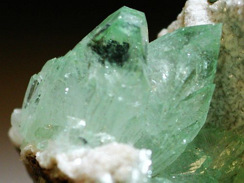 �����-�A�|�t�B���C�g(192)