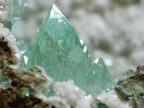 �����-�A�|�t�B���C�g(192)