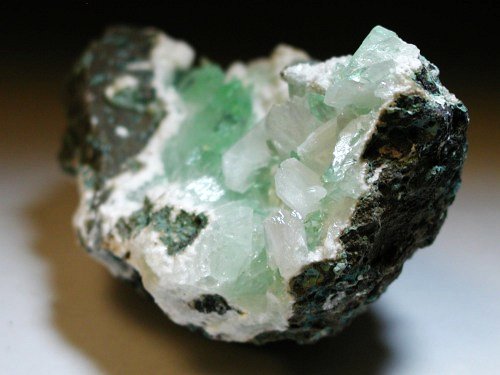 �A�|�t�B���C�g ����� (193)