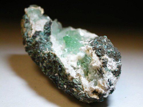 �A�|�t�B���C�g ����� (193)