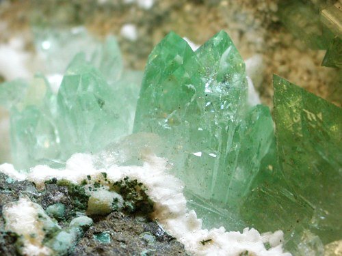 �A�|�t�B���C�g ����� (193)