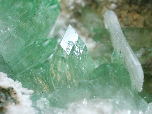 �A�|�t�B���C�g ����� (193)