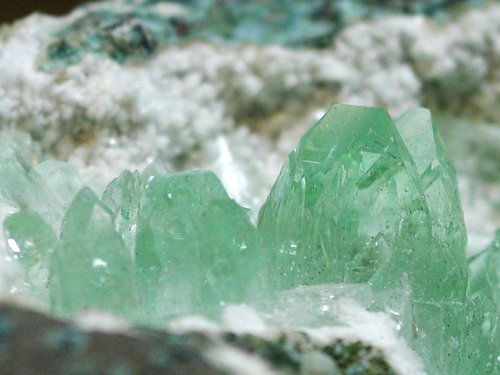 �A�|�t�B���C�g ����� (193)