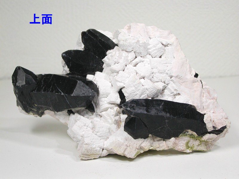 I()NX^[RȎY950g(281)