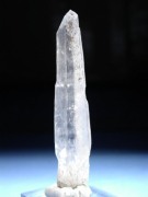 (CgjO)
