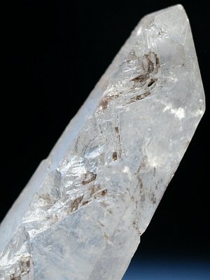 (CgjO)