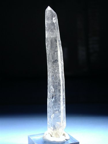 (CgjO)