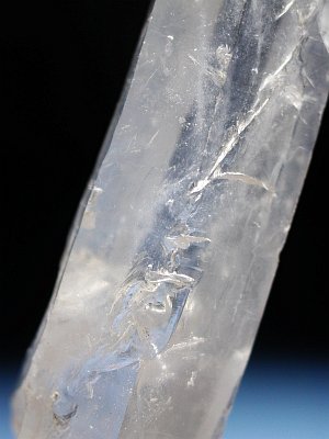 (CgjO)