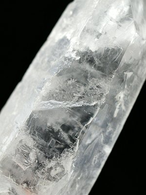 (CgjO)