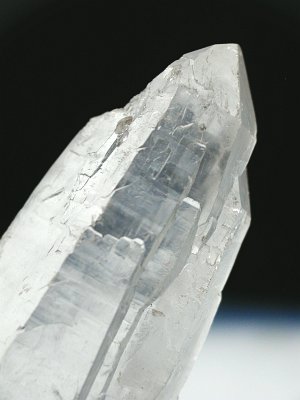 (CgjO)