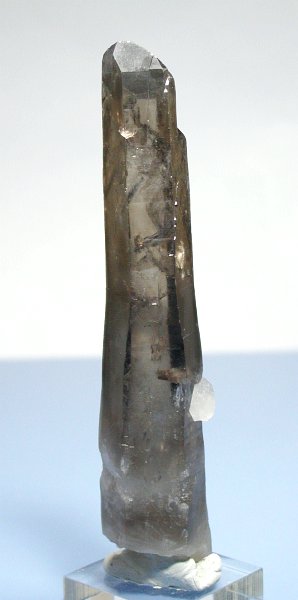 (CgjO)