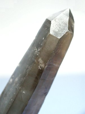 (CgjO)