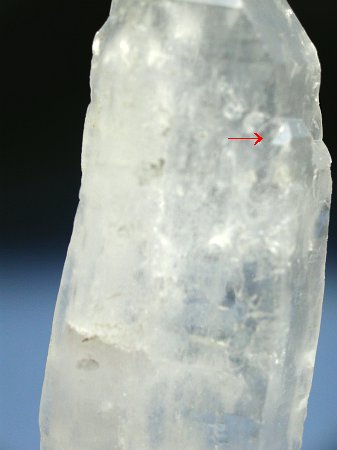 (CgjO)