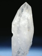 (CgjO)