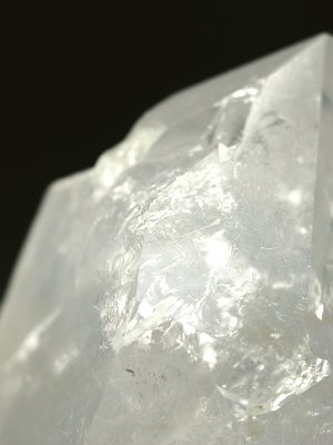 (CgjO)