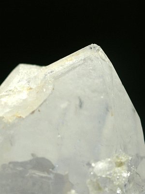 (CgjO)