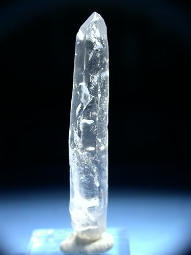 (CgjO)