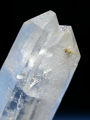 (CgjO)