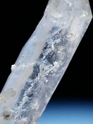 (CgjO)