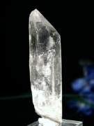 CgjONX^<br>95g(303)