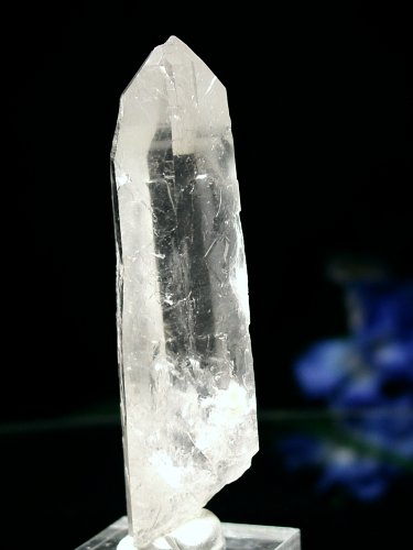 CgjONX^95g(303)