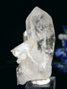 CgjONX^<br>275g(308)