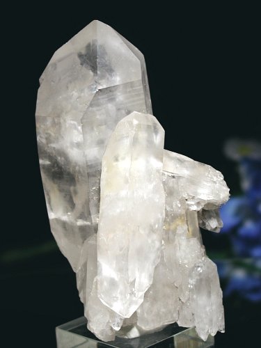 CgjONX^275g(308)