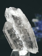 CgjONX^<br>264g(309)