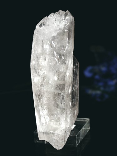 CgjONX^264g(309)