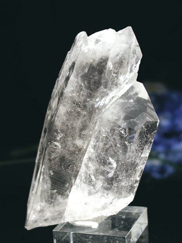 CgjONX^264g(309)