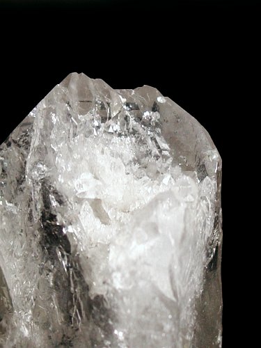 CgjONX^264g(309)