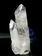 CgjONX^<br>254g(310)