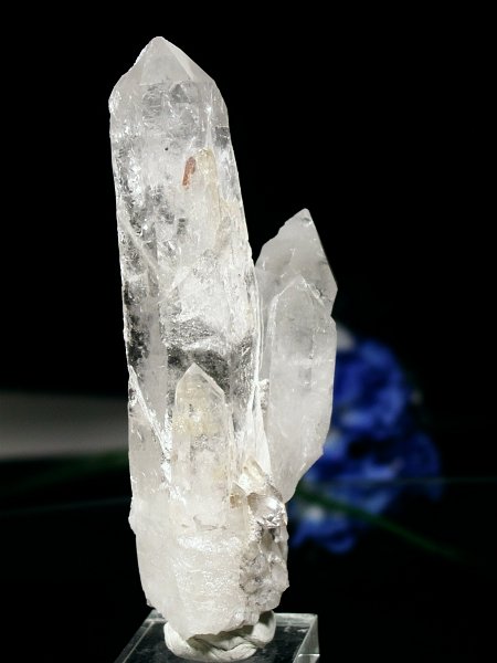 CgjONX^254g(310)