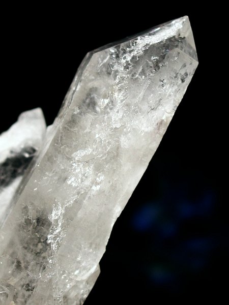 CgjONX^254g(310)