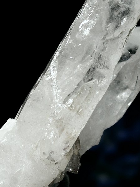 CgjONX^254g(310)